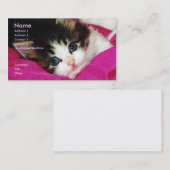 Het Visitekaartje van de Keukenkeuken ter wereld (Voorkant / Achterkant)