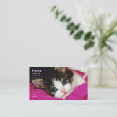 Het Visitekaartje van de Keukenkeuken ter wereld (Staand voorkant)