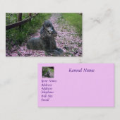 Het Visitekaartje van de Kweker van de poedel (Voorkant / Achterkant)