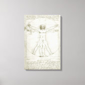 Het Vitruviaanse Man van Leonardo da Vinci Canvas Afdruk (Voorkant)