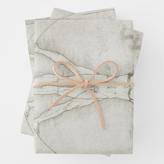 Het Vitruviaanse Man van Leonardo da Vinci Inpakpapier Vel (In situ)