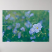 Het vlasvet poster (Voorkant)