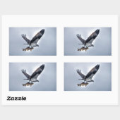 Het vliegen Osprey met Walleye Vist HDR Photo Rechthoekige Sticker (Vel)