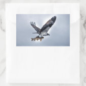 Het vliegen Osprey met Walleye Vist HDR Photo Rechthoekige Sticker (Tas)