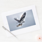 Het vliegen Osprey met Walleye Vist HDR Photo Rechthoekige Sticker (Envelop)