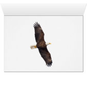 Het vliegen voorbij de maan (Binenzijde Horizontaal (Onderkant))