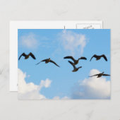 Het vliegende Briefkaart van Ganzen (Voorkant / Achterkant)