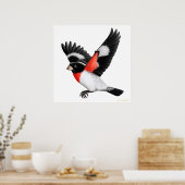 Het vliegende Roos Breasted Grosbeak Poster (Keuken)