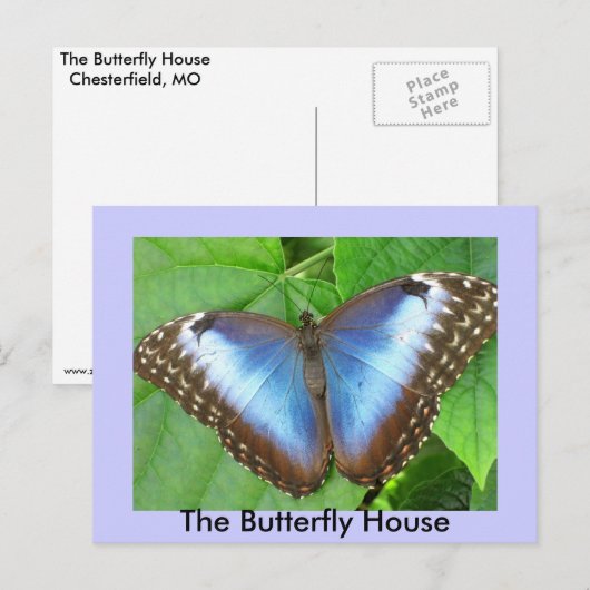 Het vlinderhuis briefkaart (Voorkant / Achterkant)