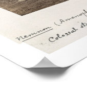 Het "Vocal Memnon", kolossaal beeld van Amenhotep  Poster (Hoek)