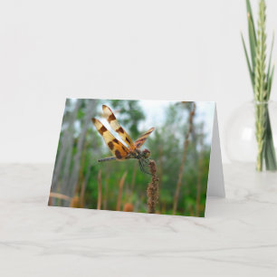 Het voeden Tijd Kaart