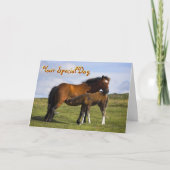 Het Voeden van de Merrie van het pony de Kaart (Voorkant)