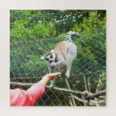 Het voeden van een lemur legpuzzel (Verticaal)