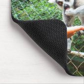 Het voeden van een ringstaartlemur muismat (Hoek)