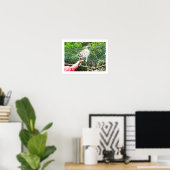 Het voeden van een ringstaartlemur poster (Thuiskantoor)
