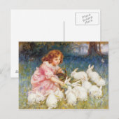 Het voeden van konijnen briefkaart (Voorkant / Achterkant)