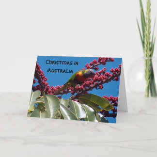 Het Voeden van Lorikeet, Kerstmis binnen, Feestdagen Kaart