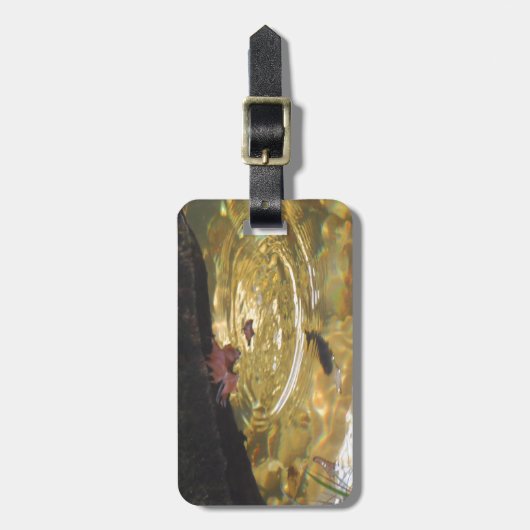 Het voeden van onderwater forel in de Smoky Mounta Bagagelabel (Voorkant verticaal)