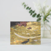 Het voeden van onderwater forel in de Smoky Mounta Briefkaart (Staand voorkant)