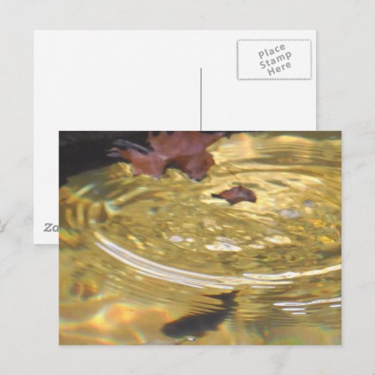 Het voeden van onderwater forel in de Smoky Mounta Briefkaart (Voorkant / Achterkant)