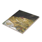 Het voeden van onderwater forel in de Smoky Mounta Tegeltje (Zijkant)