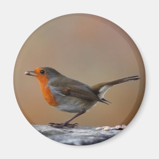 Het voeden van Robin Magnet (Voorkant)