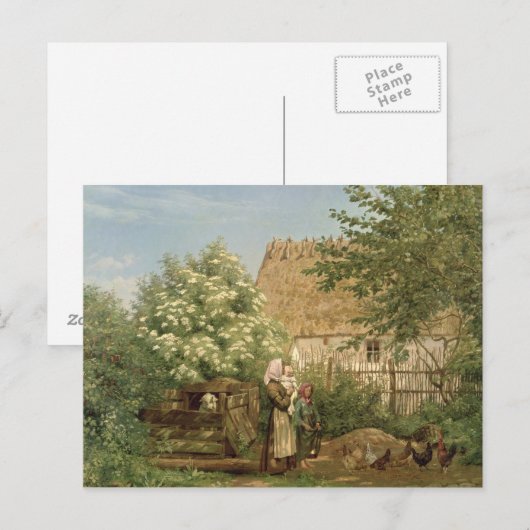 Het voederen van kippen briefkaart (Voorkant / Achterkant)