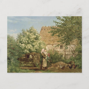 Het voederen van kippen briefkaart