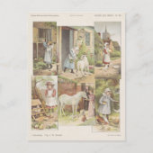 Het voederen van landbouwhuisdieren briefkaart (Voorkant)