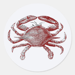Het voelen Crabby Red Pencil Ocean Crab Art Ronde Sticker