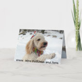 Het voelen links uit in de Koude Feestdagen Kaart (Achterkant)