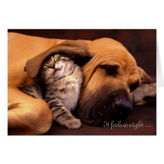 Het voelt zo goed om bij jou te zijn