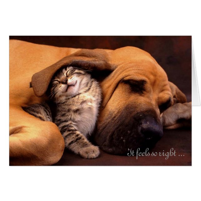 Het voelt zo goed om bij jou te zijn (Voorkant Horizontaal)