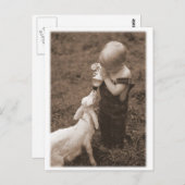 Het voer van de geit briefkaart (Voorkant / Achterkant)