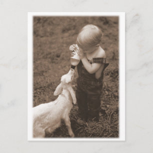 Het voer van de geit briefkaart