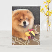 Het voer van de GRIFFIOEN heARTdog Kaart (Gele Bloem)
