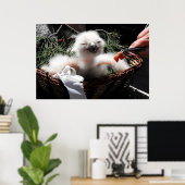 Het voeren van een Eagle Owl chick Poster (Thuiskantoor)