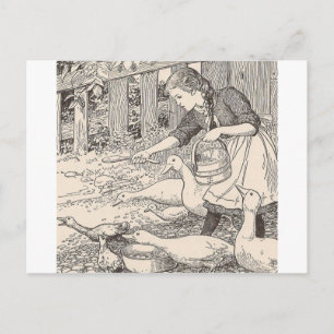 Het voeren van eenden briefkaart