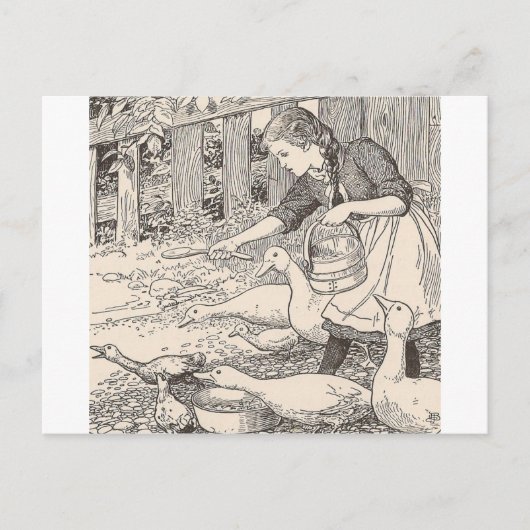 Het voeren van eenden briefkaart (Voorkant)