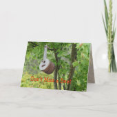 Het Vogelhuis van de banjo - pas om het even welke Kaart (Voorkant)