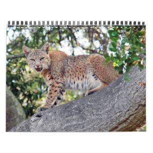 Het vogelkalender- en wildkalender in Villages Kalender