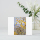 Het vogelnest in de Acacia-Struik, Chili door Mari Briefkaart (Staand voorkant)