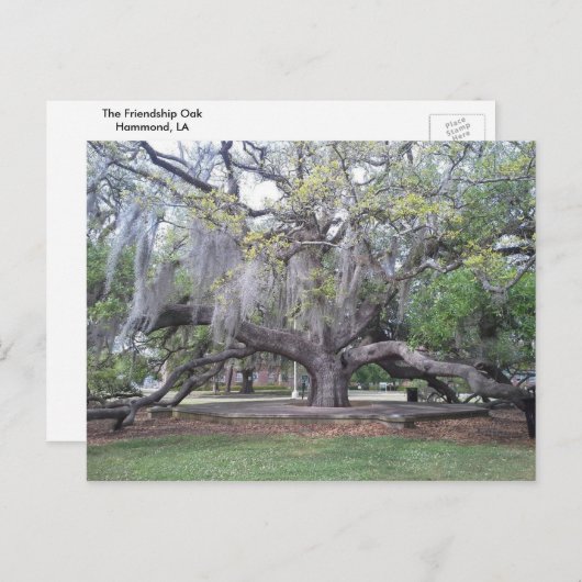 Het vriendschap Oak 2 Briefkaart (Voorkant / Achterkant)