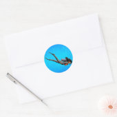 Het Vrij duiken van de vrouw Ronde Sticker (Envelop)