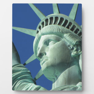 Het Vrijheidsbeeld In New York City Fotoplaat