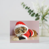 Het vrolijke van de het katkat van Kerstmis Feestdagenkaart (Staand voorkant)