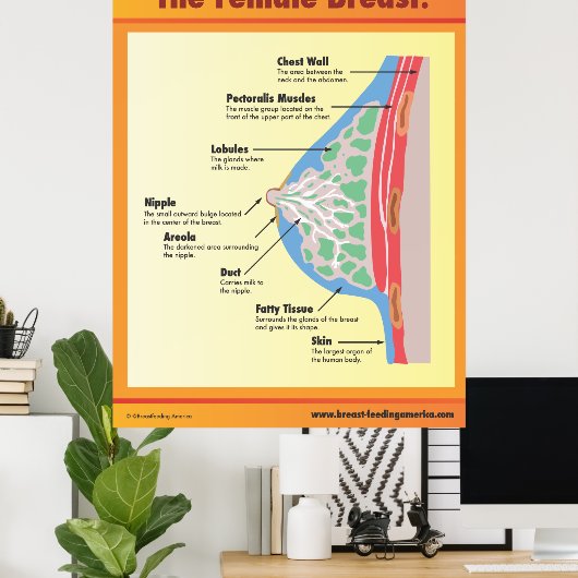 Het Vrouw Breast Poster (Thuiskantoor)