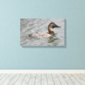 Het Vrouw Canvasback een grote duikeend Canvas Afdruk (Insitu (Houten vloer))
