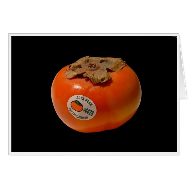 Het vuur van Zeus (Voorkant Horizontaal)