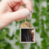 Het vuurwerk licht op de Memorial van de Luchtmach Sleutelhanger (Hand)